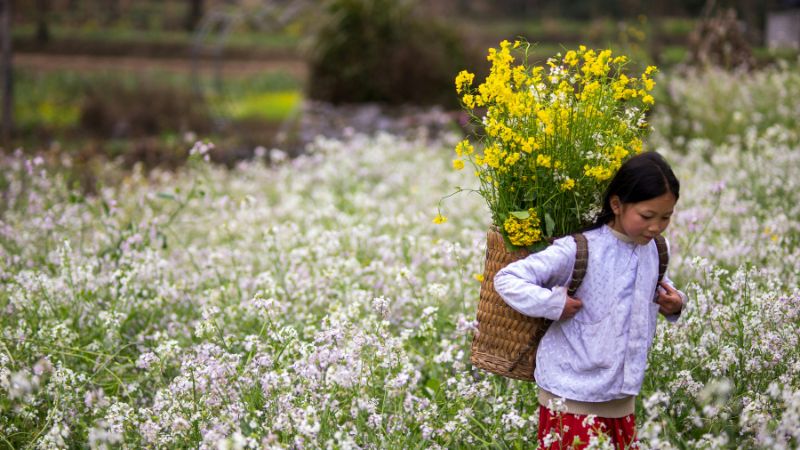 Ha Giang – rugged beauty and rich heritage define this top adventure spot in Northern Vietnam