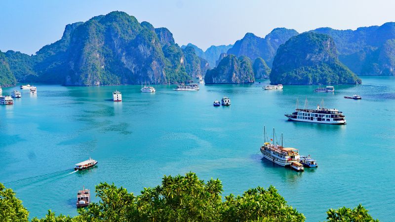 Family Tours Vietnam Australia: Your Complete Adventure Guide 5 Best time for family tours Vietnam Australia: Oct–Apr for great weather, May–Sep for deals
