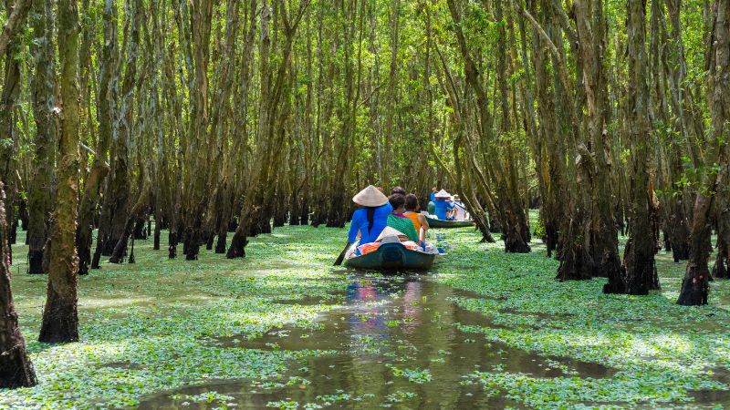 The Mekong Delta offers one of the most immersive Places to Visit in Vietnam with floating markets and river life