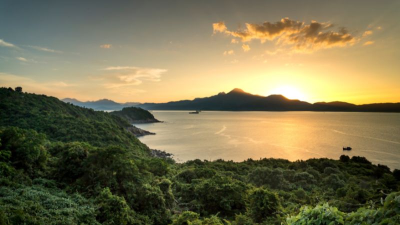 Things to do in Da Nang: spot wild monkeys on scenic Son Tra rides