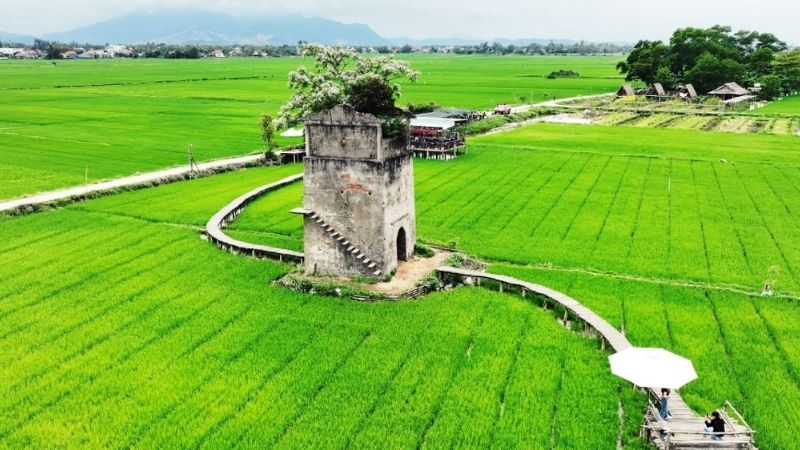 Lo Gach Cu Farm cafe overlooking green rice fields and rustic scenery near Hoi An