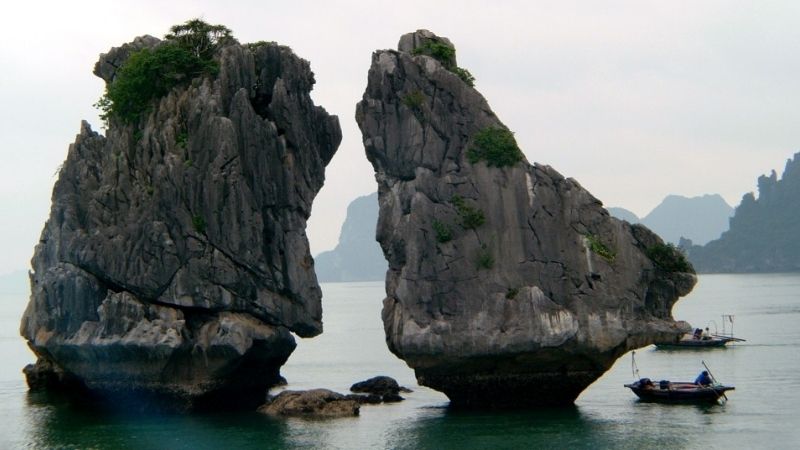 What Is Ha Long Bay Famous For? Your Complete Travel Guide 5 Trong Mai Islet fighting cocks rock formation – what is Ha Long Bay famous for landmarks