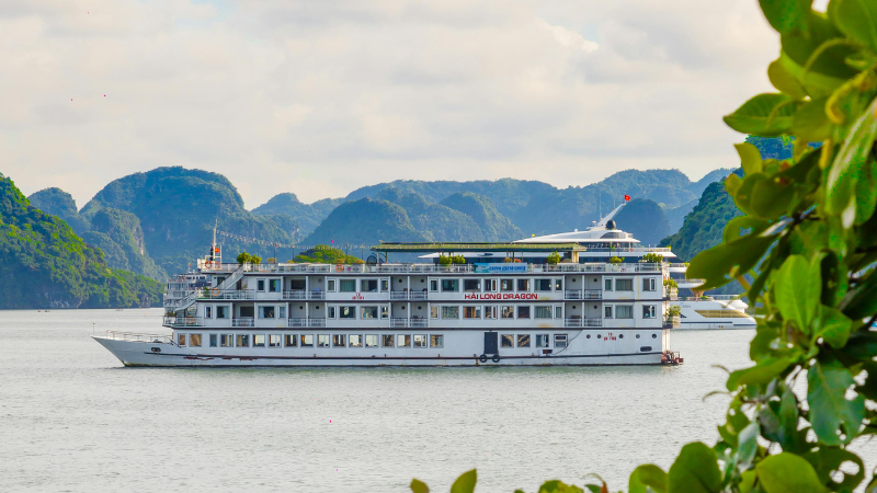 Luxury Ha Long Bay boat tours provide private charters with fine dining, spas, and tailored itineraries
