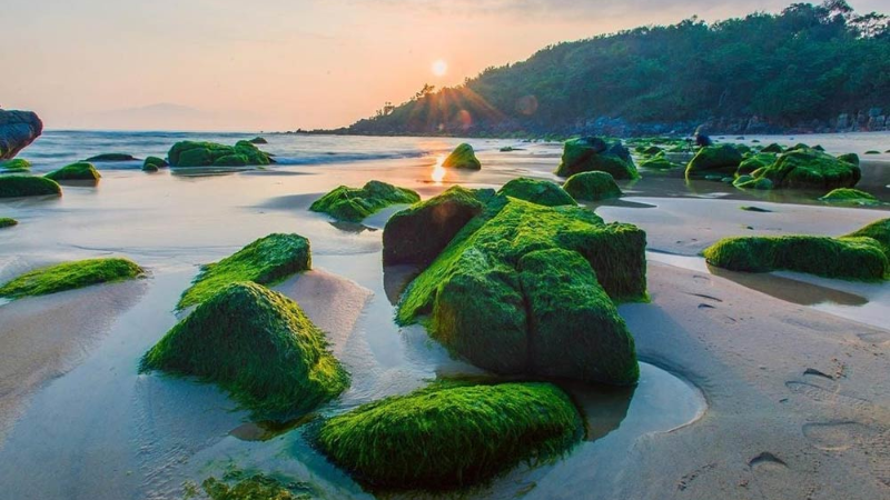 Moss-covered rocks at Nam O Reef in Da Nang during low tide, a hidden natural attraction