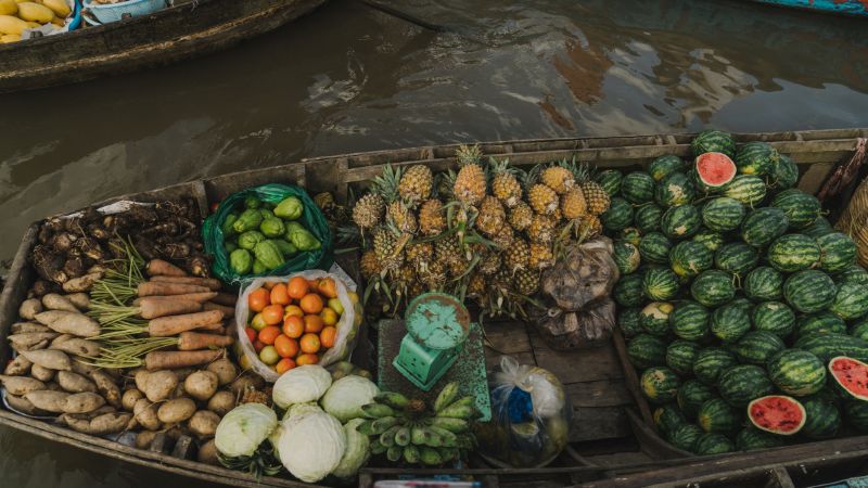 Tourists exploring authentic countryside life on a Ho Chi Minh to Mekong Delta journey