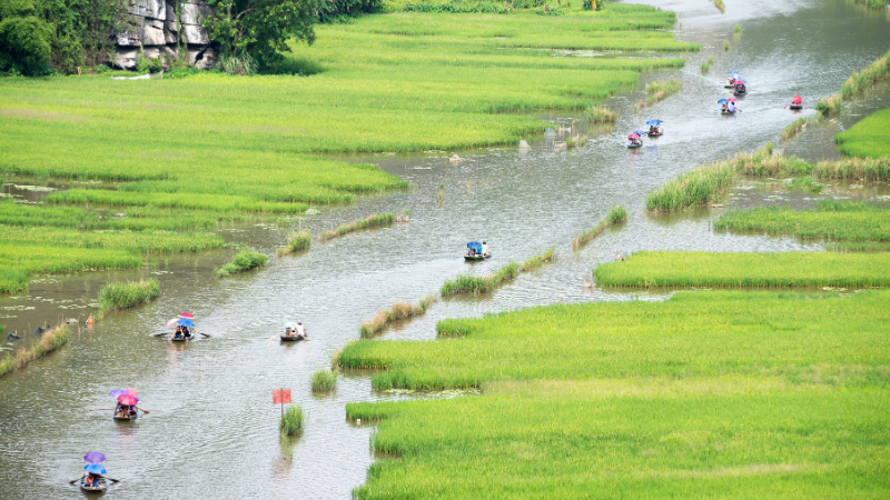 Local cuisine experience on a Ninh Binh day trip near Tam Coc