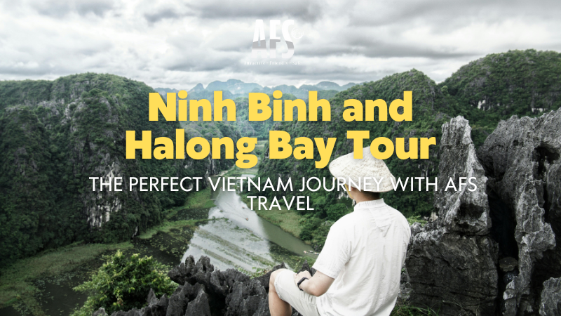 Ninh Binh and Halong Bay Tour: The Perfect Vietnam Journey with AFS Travel 3 Ninh Binh and Halong Bay Tour