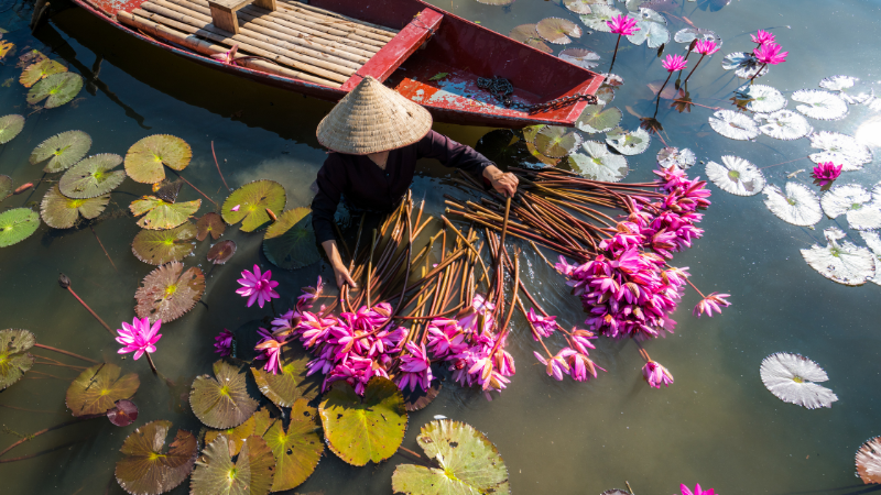 Travel to Vietnam from Australia: Everything You Need to Know Before Your 2025 Trip 4 Best time of year for Australians to travel to Vietnam from Australia and explore top destinations