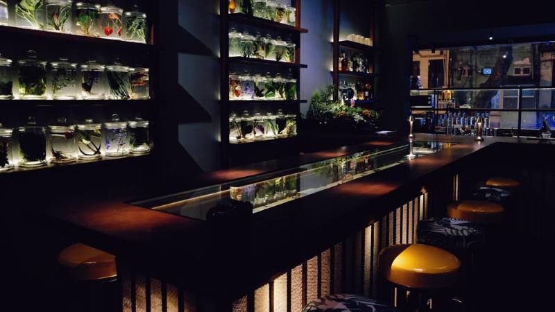 Cocktail Bars in Hanoi: A Complete Guide to the Capital’s Most Stylish Nightlife Spots 9 Bo/N Cocktail Atelier features botanical décor and inventive drinks