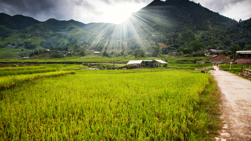 destinations to visit in Sapa Ta Phin Village Red Dao herbal bath