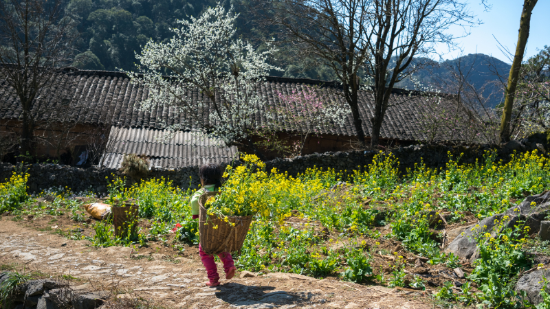 Event Vietnam December 2025: Celebrate Culture, Light, and Festive Spirit Across the Country 7 event Vietnam December Ha Giang ethnic festival with traditional music and cultural performances
