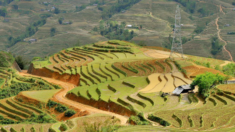 Sapa terraced fields guided by Vietnam travel agency in the North