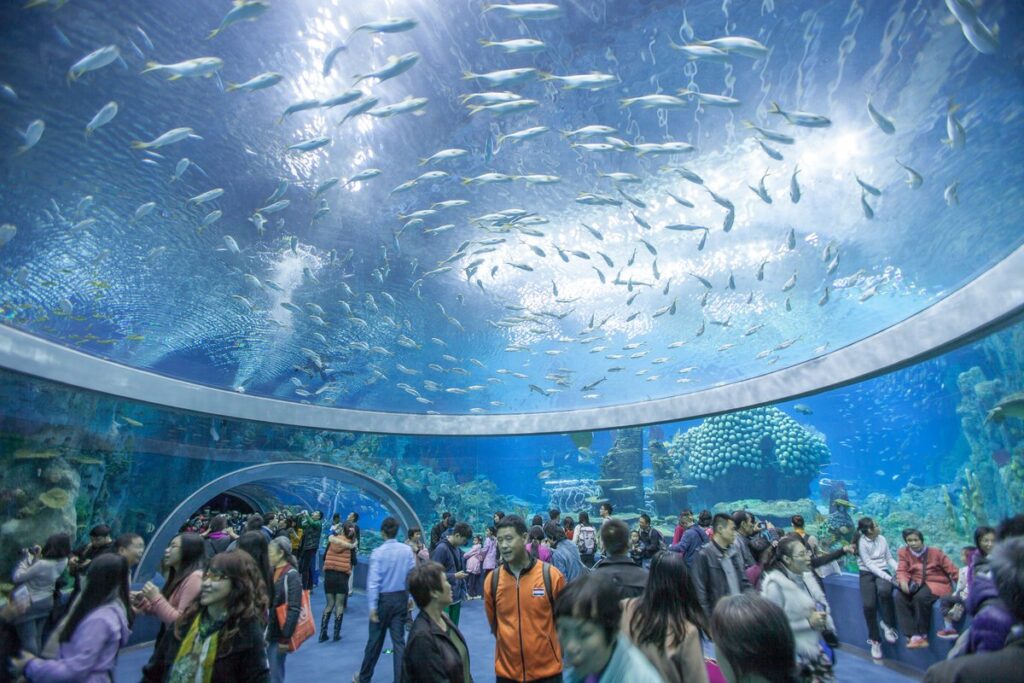 National Oceanographic Museum 1