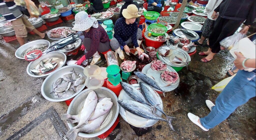 Xom Moi Market photos showcase vibrant stalls filled with seafood 1