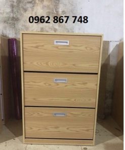 Tủ giầy thông minh 3 cánh TG8011