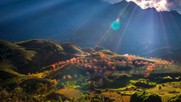 HÀ NỘI - SAPA - HÀM RỒNG - CÁT CÁT -  HÀ NỘI 3N2Đ