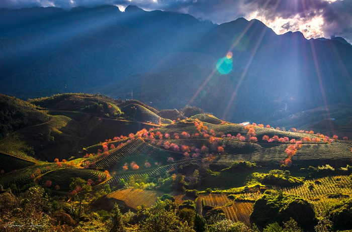 HÀ NỘI - SAPA - HÀM RỒNG - CÁT CÁT - HÀ NỘI 3N2Đ 1 pasted image 0