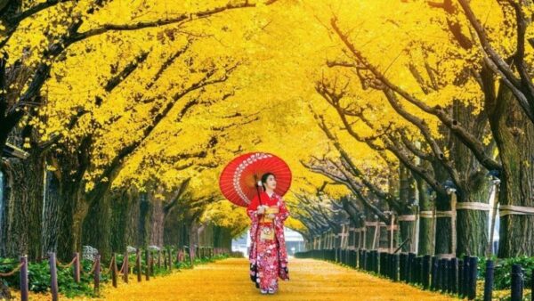 HÀ NỘI - DỊU DÀNG SẮC THU NHẬT BẢN 6N5Đ