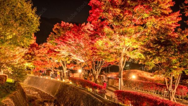 Momiji Kairo ve dem