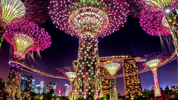 garden by the bay sieu cay supper tree dia diem du lich Singapore thienhuong360