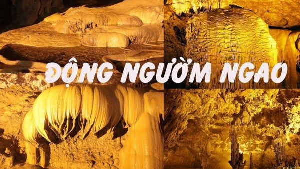 Dong nguom ngao 1618236290