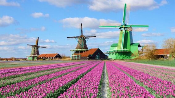 HÀ NỘI - ĐỨC – THỤY SĨ – LUXEMBOURG – HÀ LAN – BỈ – PHÁP 9N8Đ 60 Khu dong que Zaanse Schans