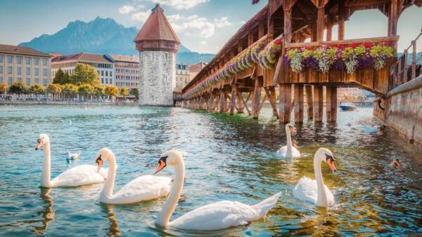 HÀ NỘI - ĐỨC – THỤY SĨ – LUXEMBOURG – HÀ LAN – BỈ – PHÁP 9N8Đ 40 Lucerne
