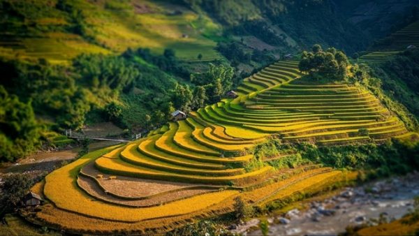 HÀ GIANG - CAO BẰNG - BẮC CẠN