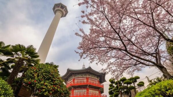 THƯỞNG NGOẠN MÙA THU HÀN QUỐC: HÀ NỘI - BUSAN - SEOUL - NAMI - HANOK BUKCHON - KYUNG HEE UNIVERSITY 6N5Đ 26 Thap Busan