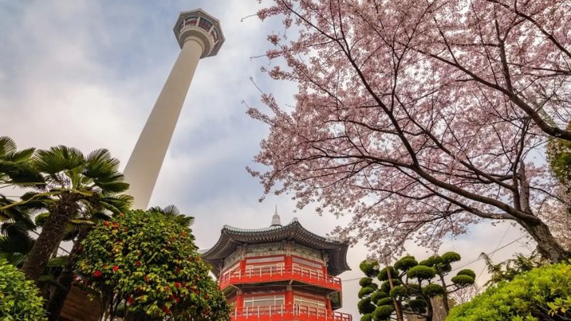 THƯỞNG NGOẠN MÙA THU HÀN QUỐC: HÀ NỘI - BUSAN - SEOUL - NAMI - HANOK BUKCHON - KYUNG HEE UNIVERSITY 6N5Đ 13 Thap Busan