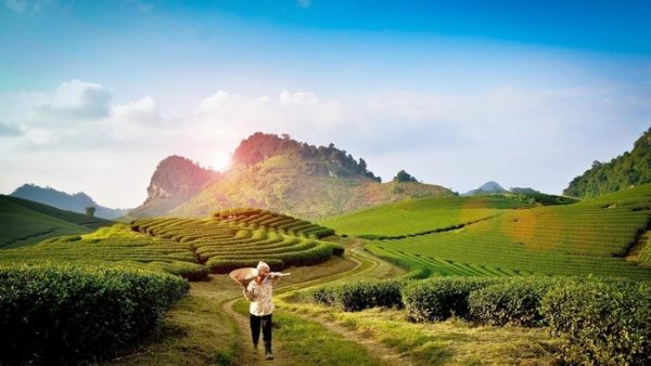 MỘC CHÂU - CẦU KÍNH BẠCH LONG