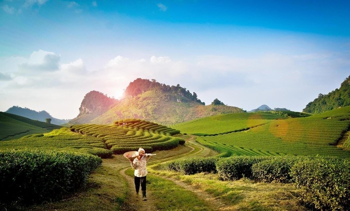 MỘC CHÂU - CẦU KÍNH BẠCH LONG