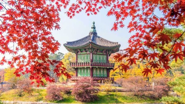 DU LỊCH HÀN QUỐC MÙA THU: HÀ NỘI – SEOUL – NAMI - STARFIELD LIBRARY - HANOK BUKCHON 5N4Đ