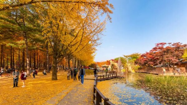 HÀ NỘI - SEOUL - NAMI - LOTTE WORLD - HANOK BUKCHON 5N4Đ 13 Dao Nami