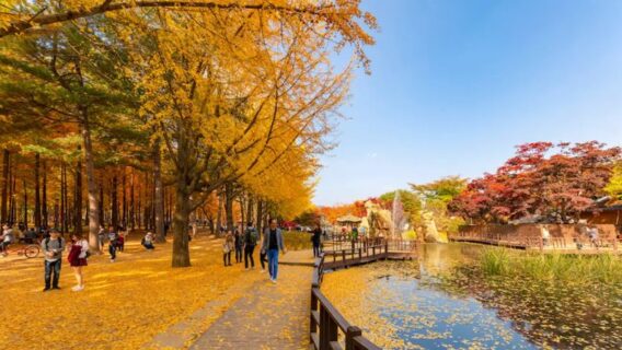 du-lich-han-quoc-18