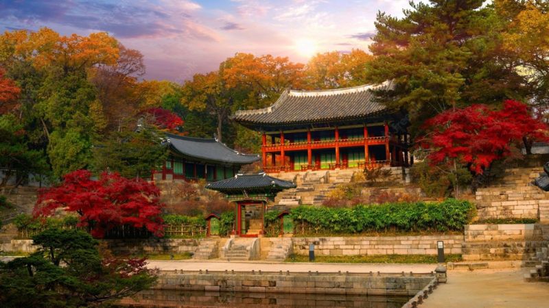 KHÁM PHÁ MÙA THU HÀN QUỐC: HÀ NỘI - SEOUL - EVERLAND - ĐẢO NAMI 5N4Đ 2 4
