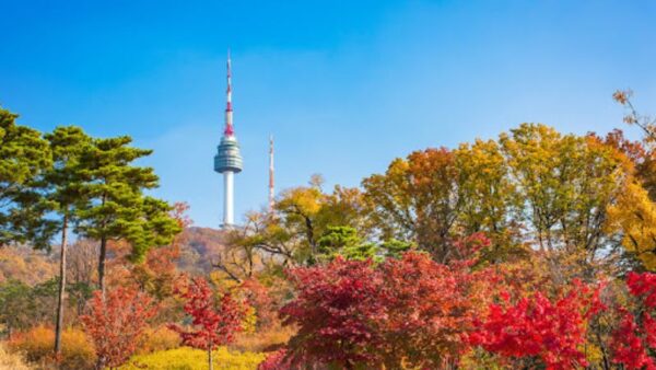 KHÁM PHÁ MÙA THU HÀN QUỐC: HÀ NỘI - SEOUL - EVERLAND - ĐẢO NAMI 5N4Đ 10 Cong vien Namsan