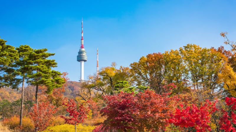 KHÁM PHÁ MÙA THU HÀN QUỐC: HÀ NỘI - SEOUL - EVERLAND - ĐẢO NAMI 5N4Đ 3 Cong vien Namsan
