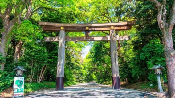 Không gian xanh mát xung quanh đền Meji Jingu