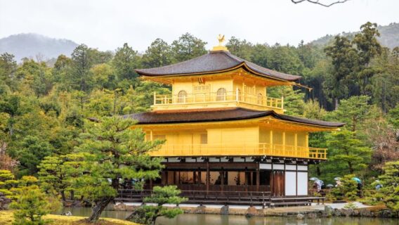 Màu vàng nổi bật của chùa Kinkakuji