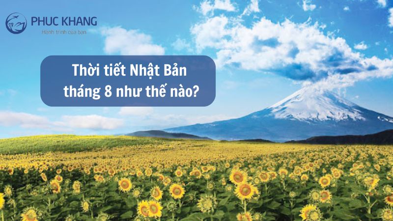 Thời tiết Nhật Bản tháng 8 như thế nào? Đi đâu, chơi gì? 21 1 4
