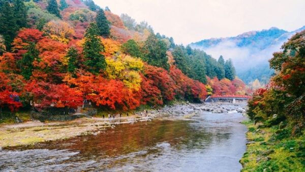 HÀ NỘI - OSAKA - KYOTO- PHÚ SĨ - TOKYO 6N5Đ 21 10 1