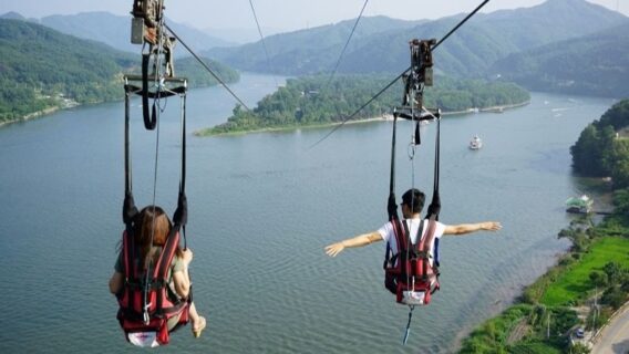 Cẩm nang du lịch đảo Nami mùa thu lá đỏ đẹp nhất năm 2024 7 dao-nami-mua-thu-6