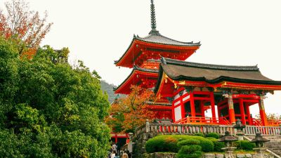 NGẮM SẮC THU TẠI NHẬT BẢN 2024 (HÀ NỘI -OSAKA - NAGOYA- NARA- TOKYO - NÚI PHÚ SĨ) 6N5Đ 11 10 4