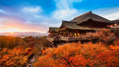 NGẮM SẮC THU TẠI NHẬT BẢN 2024 (HÀ NỘI -OSAKA - NAGOYA- NARA- TOKYO - NÚI PHÚ SĨ) 6N5Đ 12 11 3