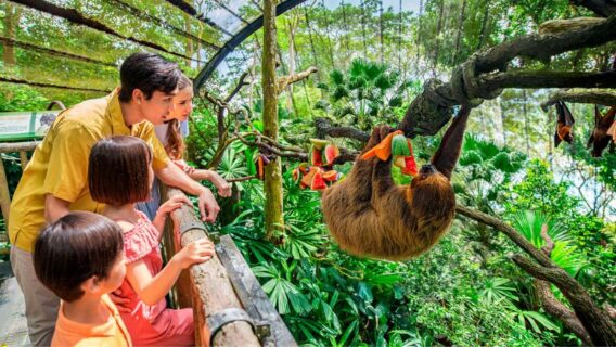 10 địa điểm du lịch Singapore "sống ảo" đẹp mê ly, không thể bỏ lỡ 11 du-lich-singapore-10