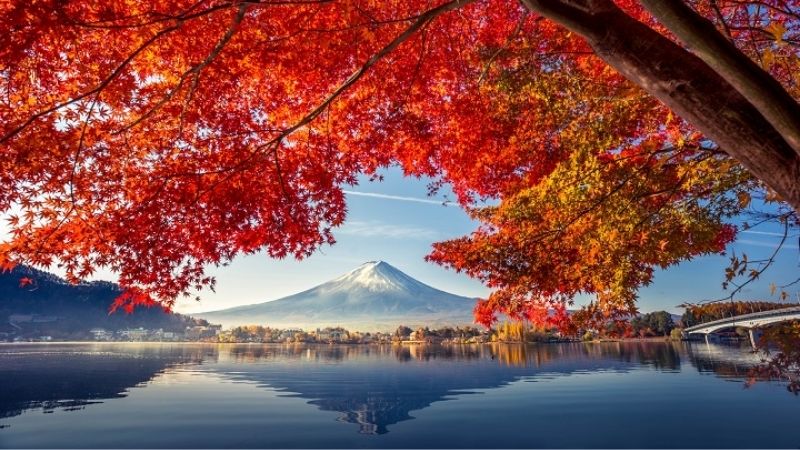 HÀ NỘI - OSAKA - KYOTO- PHÚ SĨ - TOKYO 6N5Đ 14 15