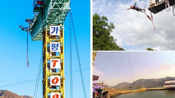 Cẩm nang du lịch đảo Nami mùa thu lá đỏ đẹp nhất năm 2024 14 dao-nami-mua-thu-12