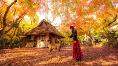 NGẮM SẮC THU TẠI NHẬT BẢN 2024 (HÀ NỘI -OSAKA - NAGOYA- NARA- TOKYO - NÚI PHÚ SĨ) 6N5Đ