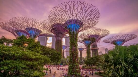 10 địa điểm du lịch Singapore "sống ảo" đẹp mê ly, không thể bỏ lỡ 3 du-lich-singapore-2